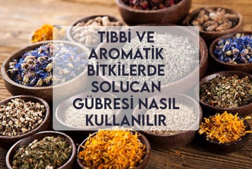 Tıbbi ve Aromatik Bitkilerde Solucan Gübresi Nasıl Kullanılır