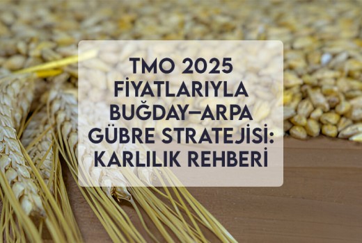 TMO 2025 Fiyatlarıyla Buğday–Arpa Gübre Stratejisi: Karlılık Rehberi