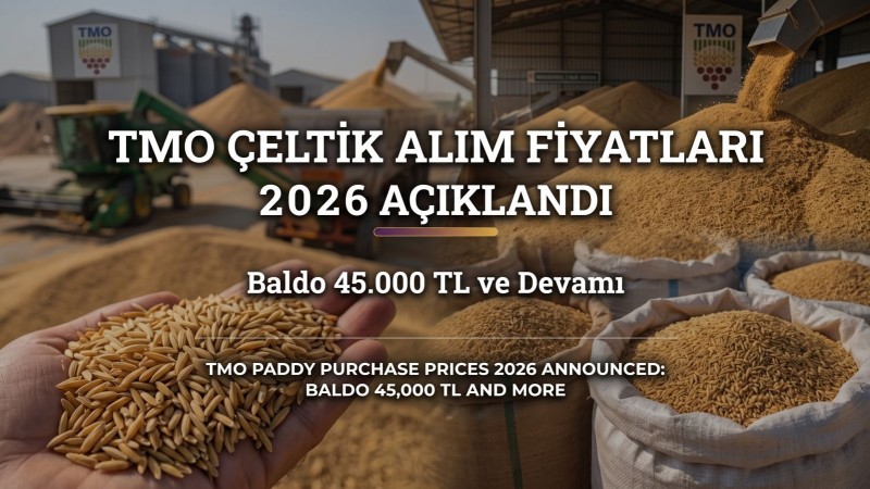 TMO çeltik alım fiyatları 2026 açıklandı: Baldo 45.000 TL