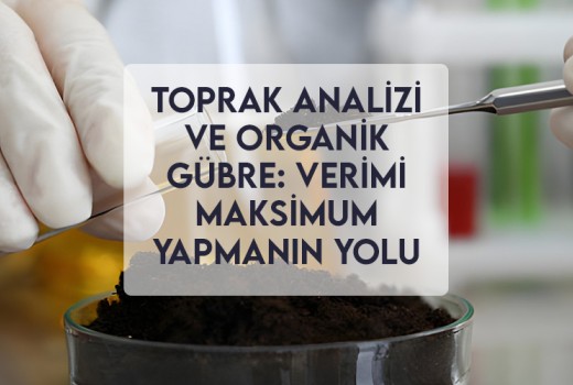 Toprak Analizi ve Organik Gübre: Verimi Maksimum Yapmanın Yolu
