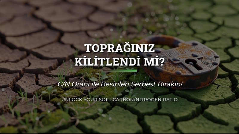 Toprağınız Kilitlendi mi? C/N Oranı ile Besinleri Serbest Bırakın!