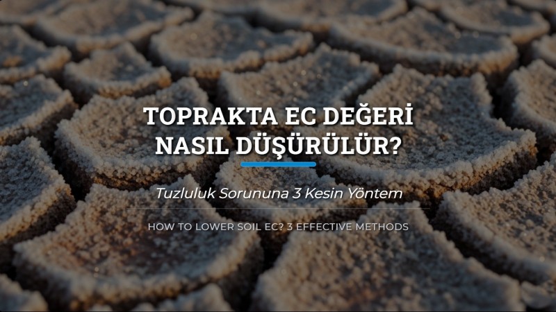 Toprakta EC Değeri Nasıl Düşürülür? 3 Kesin Yöntem