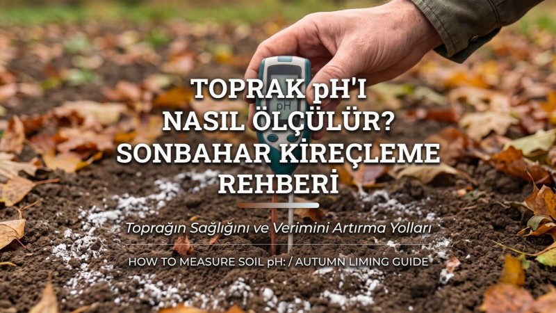 Toprak pH'ı Nasıl Ölçülür? Sonbahar Kireçleme Rehberi