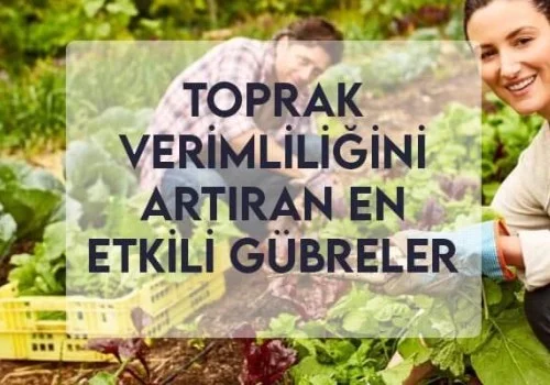 Toprak Verimliliğini Artıran En Etkili Gübreler
