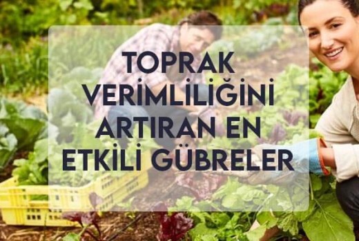 Toprak Verimliliğini Artıran En Etkili Gübreler