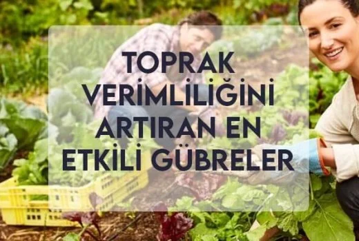 Toprak Verimliliğini Artıran En Etkili Gübreler