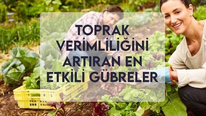 Toprak Verimliliğini Artıran En Etkili Gübreler Toprak Verimliliğini Artıran En Etkili Gübreler