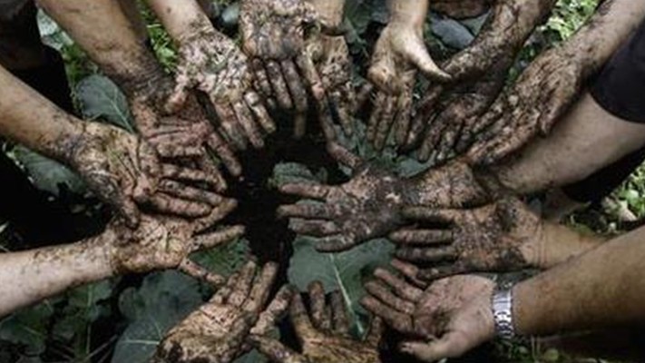 Türkiye Ve Dünyada Organik Tarım Türkiye Ve Dünyada Organik Tarım