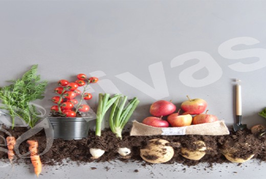 Vermikompost Ürünlerinin Bitki Koruma Amaçlı Kullanımı | Rivasol