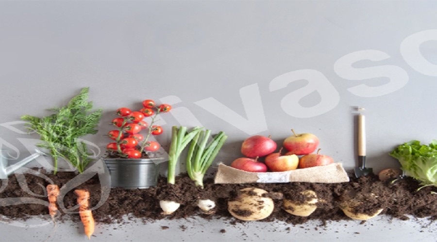 Vermikompost Ürünlerinin Bitki Koruma Amaçlı Kullanımı | Rivasol