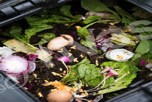 Vermikültür Nedir ve Nasıl Ortaya Çıkmıştır | Rivasol