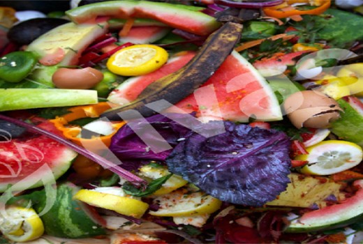 Vermikültür'ün Halk Sağlığı Açısından Rolü, Ab Süreci Ve Yasal Mevzuattaki Yeri | Rivasol