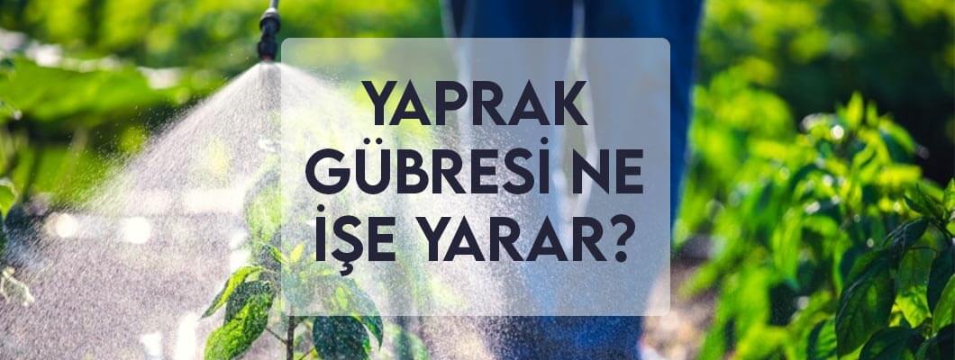 Yaprak Gübresi Ne İşe Yarar? Yaprak Gübresi Ne İşe Yarar?