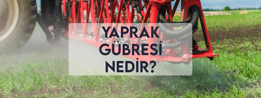 Yaprak Gübresi Nedir? Yaprak Gübresi Nedir?