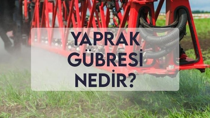 Yaprak Gübresi Nedir? Yaprak Gübresi Nedir?
