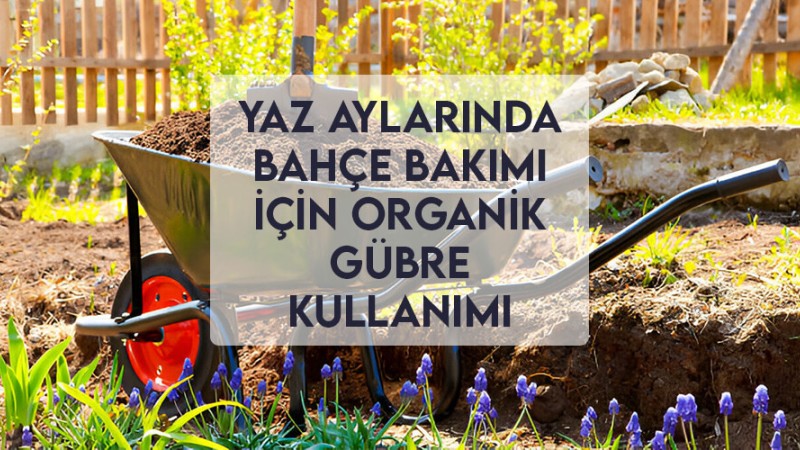 Yaz Aylarında Bahçe Bakımı İçin Organik Gübre Kullanımı