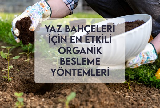 Yaz Bahçeleri İçin En Etkili Organik Besleme Yöntemleri