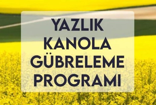 Yazlık Kanola Gübreleme Programı