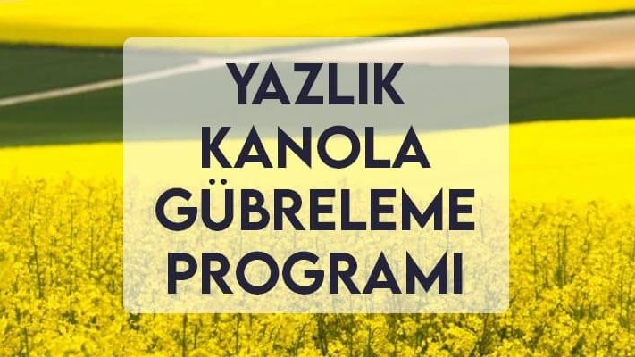 Yazlık Kanola Gübreleme Programı Yazlık Kanola Gübreleme Programı