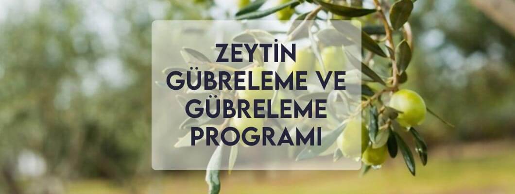 Zeytin Gübreleme ve Gübreleme Programı Zeytin Gübreleme ve Gübreleme Programı