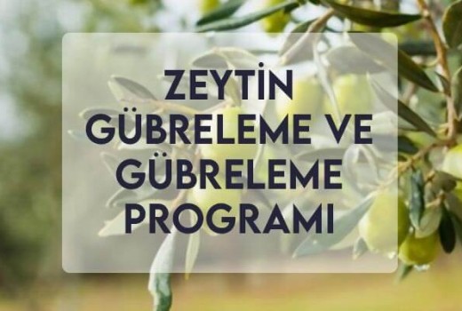 Zeytin Gübreleme ve Gübreleme Programı