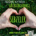 Nisan ayında ne ekilir?
