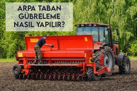 Arpa Taban Gübreleme Nasıl Yapılır?