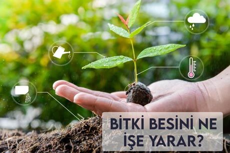 Bitki Besini Ne İşe Yarar?