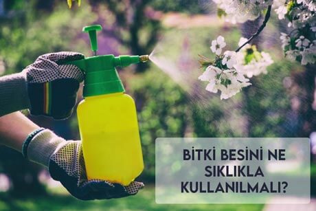 Bitki Besininde Hangi Elementler Vardır?