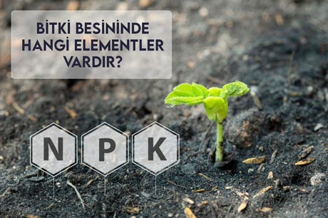 Bitki Besini Ne Sıklıkla Kullanılmalı?