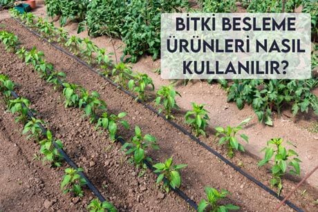 Bitki Besleme Ürünleri Nasıl Kullanılır?