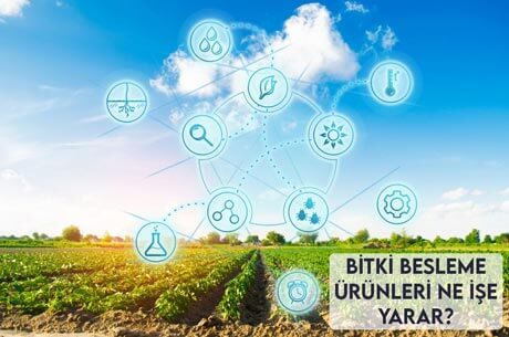 Bitki Besleme Ürünleri Ne İşe Yarar?