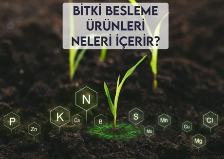 Bitki Besleme Ürünleri Neleri İçerir?