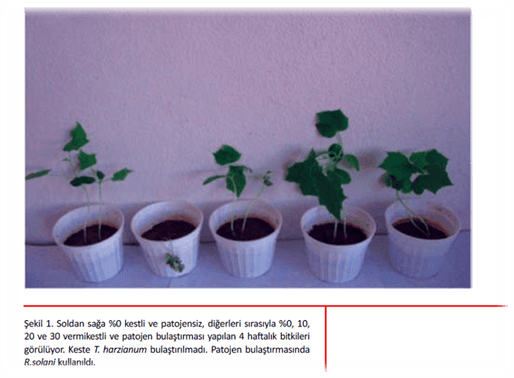 Solucan Gübresinin Bitki Koruma amaçlı kullanım Sonuçları örnek 1