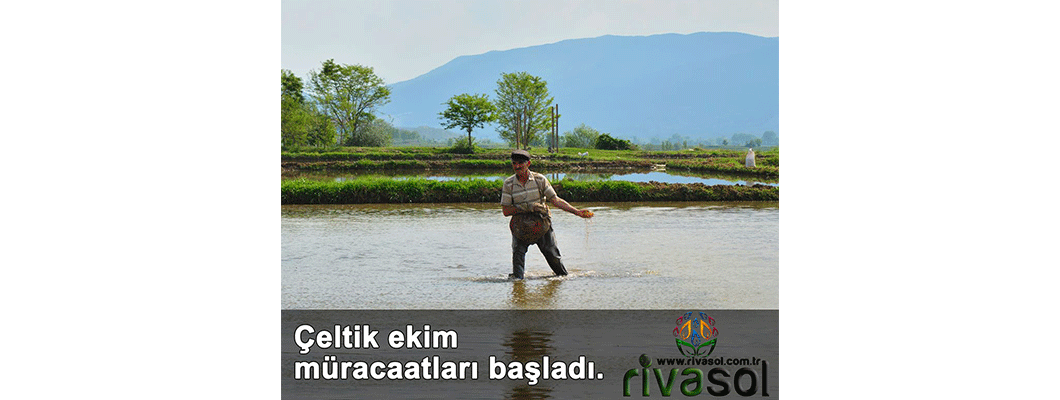 Edirne'de çeltik ekim müracaatları başladı