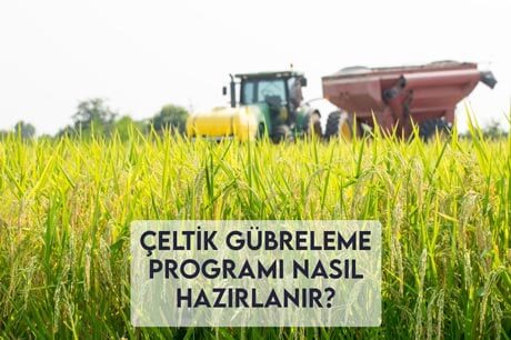 Çeltik Gübreleme Programı Nasıl Hazırlanır?