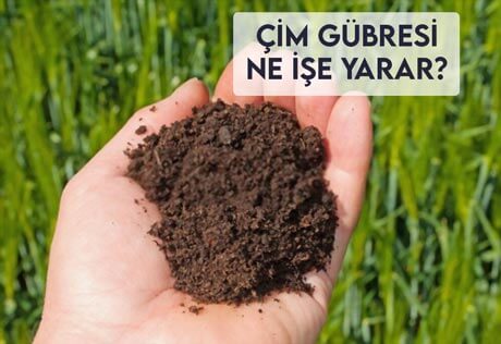 Çim Coşturan Gübre Ne İşe Yarar?