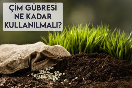 Çim Gübresi Ne Kadar Kullanılmalı?