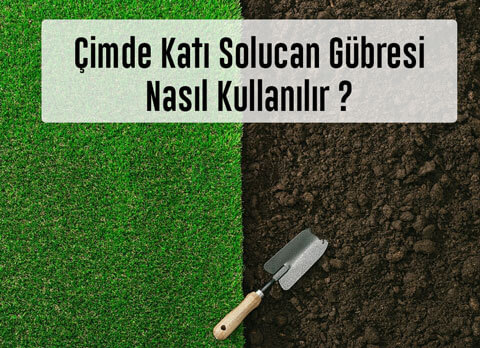 Çim Gübrelemesi Nasıl Yapılır? Çim Nezaman Gübrelenir?