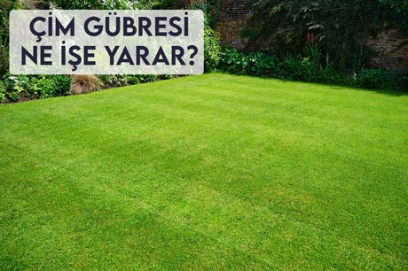 Çim Gübresi Ne İşe Yarar?