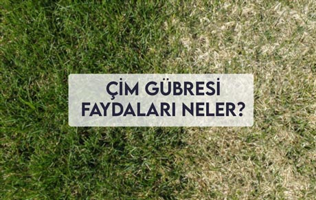 Çim Gübresi Faydaları Neler?