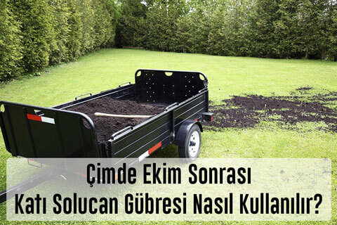 Çimde Katı Solucan Gübresi Nasıl Kullanılır? Gübreleme Zamanları Nedir? Çim Çosturan Gübre