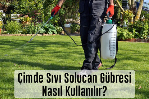 Çimde Sıvı Solucan Gübresi Nasıl Kullanılır? Gübreleme Zamanları Nedir? Çim Çosturan Sıvı Gübre