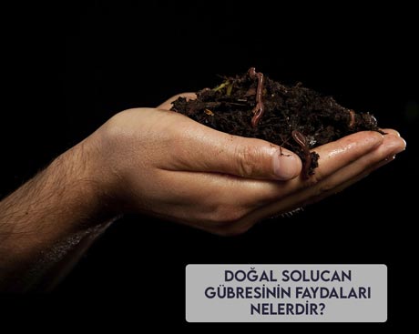 Doğal Solucan Gübresinin Faydaları Nelerdir?