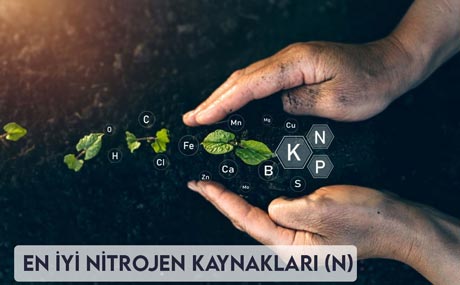 En iyi nitrojen kaynakları (N)