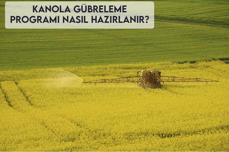 Kanola Gübreleme Programı Nasıl Hazırlanır?