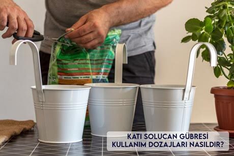 Katı Solucan Gübresi Kullanım Dozajları Nasıldır?