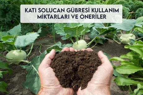 Katı Solucan Gübresi Kullanım Miktarları ve Öneriler