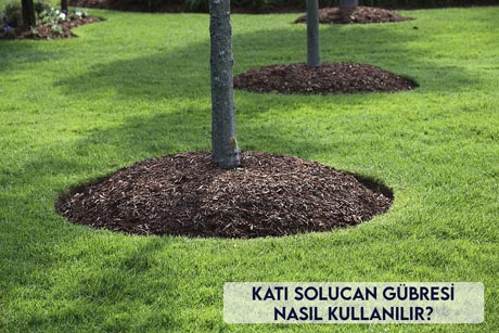 Katı Solucan Gübresi Nasıl Kullanılır?