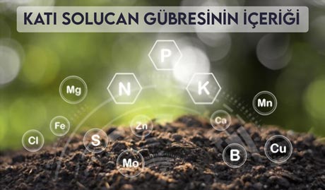 Katı Solucan Gübresinin İçeriği